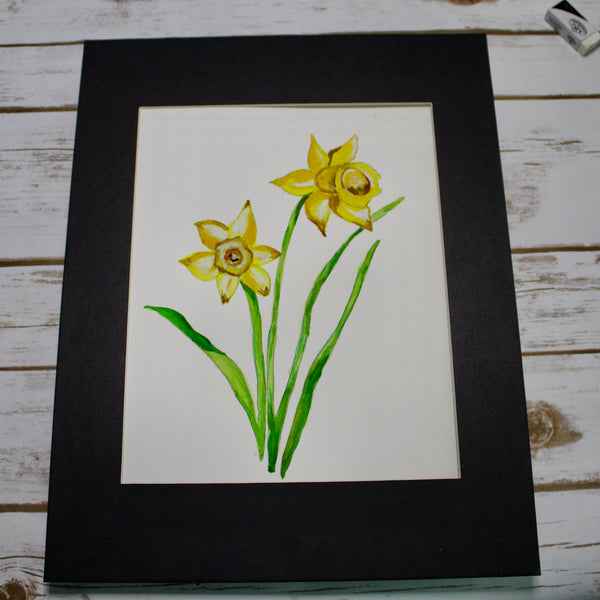 Daffodils