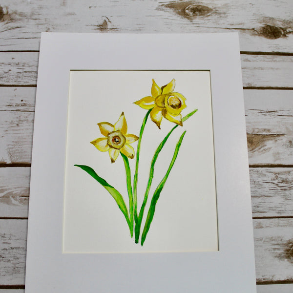 Daffodils