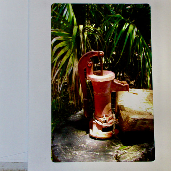 Vintage Pitcher Pump