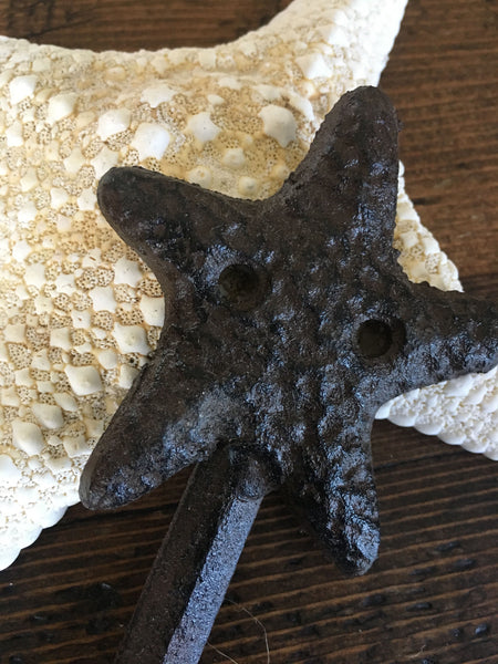 Wall Hook - Starfish